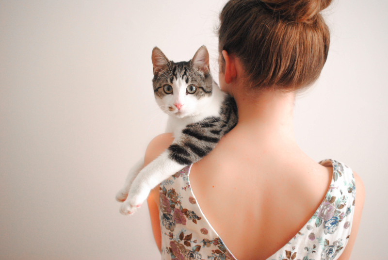 cat and bun